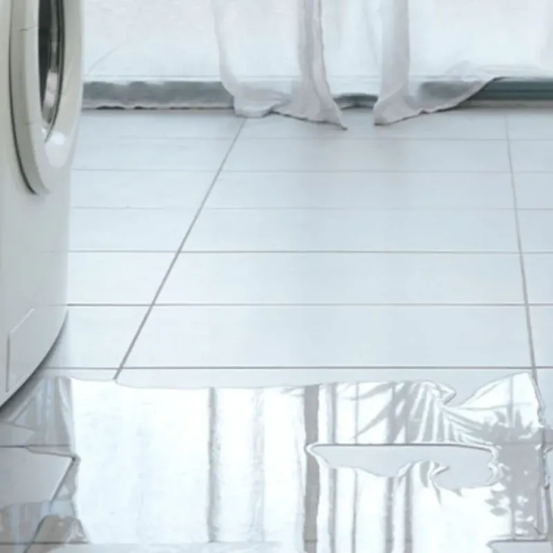 Appliance Leak Cleanup in Eureka Springs, AR