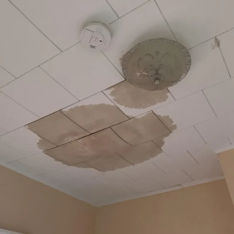 Ceiling Water Damage Repair in Eureka Springs, AR