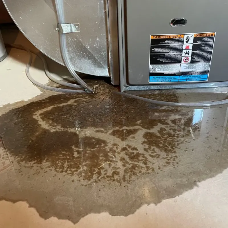 Pipe Burst and Leak Restoration in Eureka Springs, AR