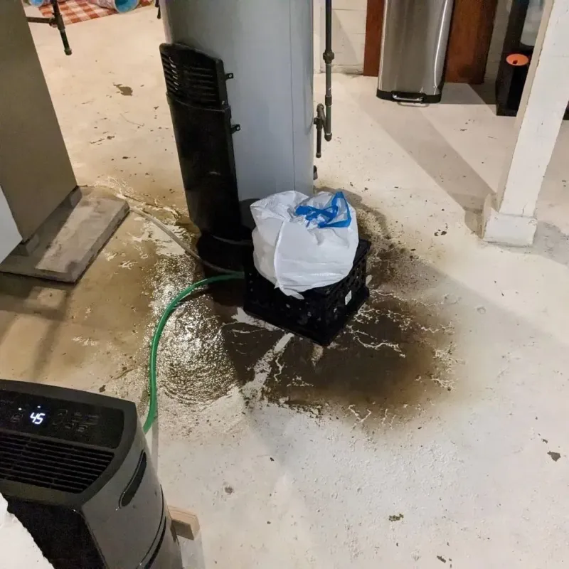 Sewage Backup Cleanup Service in Eureka Springs, AR